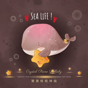 六十岁老太婆logo
