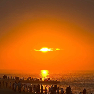 六十岁老太婆logo
