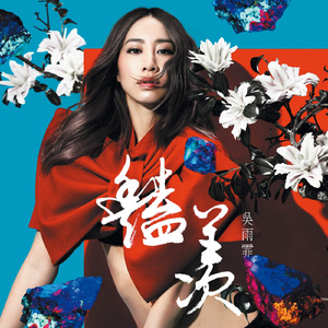 六十岁老太婆logo
