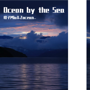 六十岁老太婆logo
